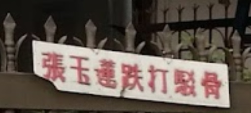 推介: 张玉莲铁打驳骨
