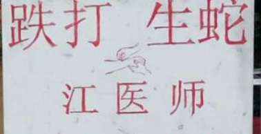 推介: 江医师跌打