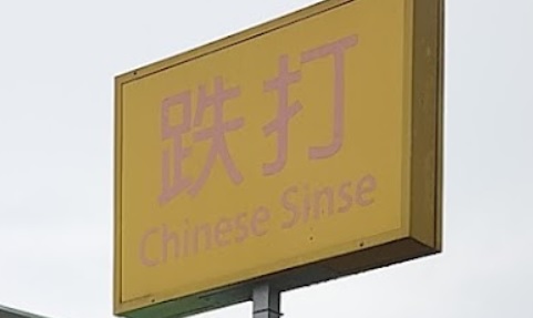 推介: Chinese Sinse 跌打
