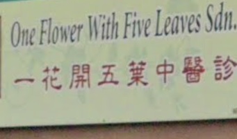 推介: 一花开五叶中医诊所
