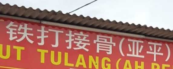 推介: 铁打接骨(亚平)