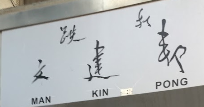 推介: 文建邦跌打