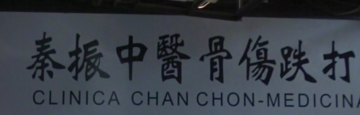 推介: 秦振跌打
