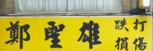 推介: 鄭聖雄跌打損傷